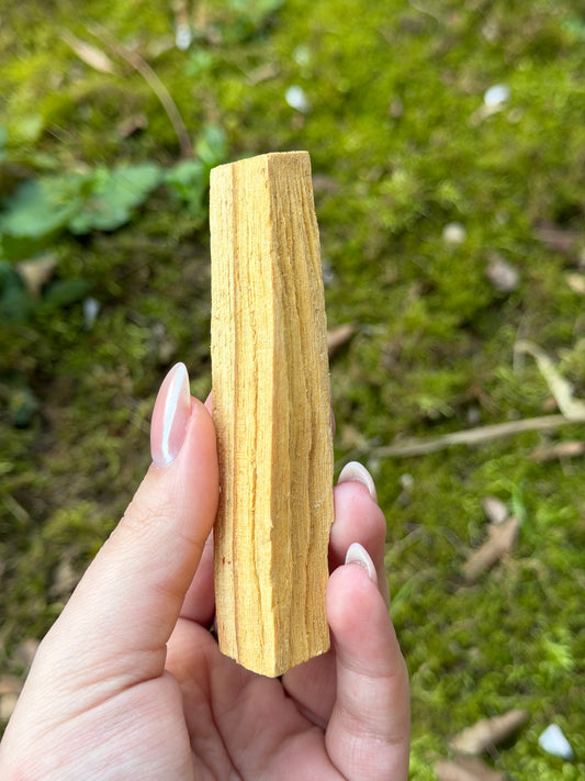 PALO SANTO (1 bâton)